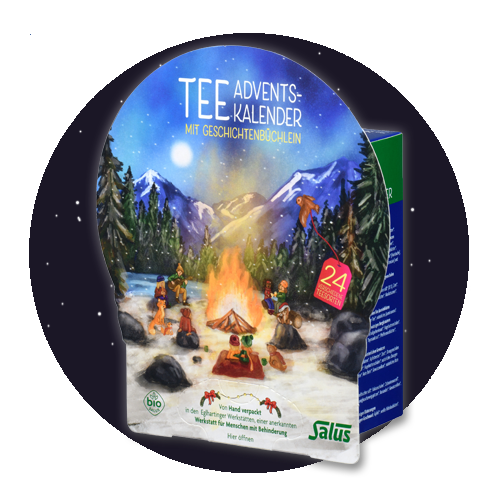 Salus Tee Adventskalender Weihnachtsbild Salus Tee Adventskalender